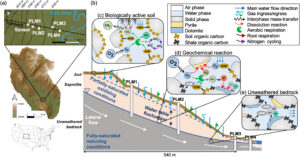 How Snowmelt and Slope Shape Carbon Flows During Rock Weathering in Mountain Watersheds